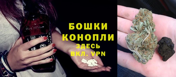 стаф Сатка