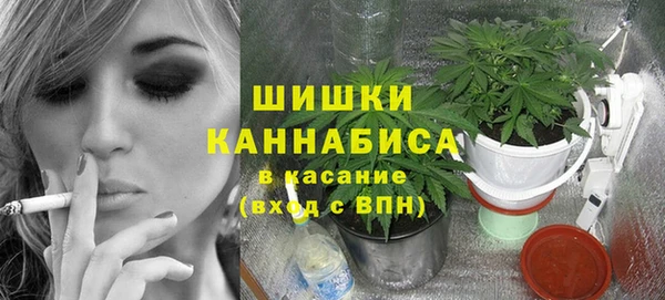 прущие грибы Белоозёрский