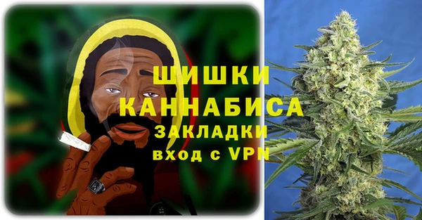 стафф Белокуриха