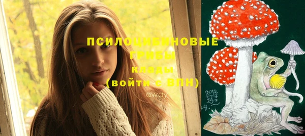 стафф Белокуриха