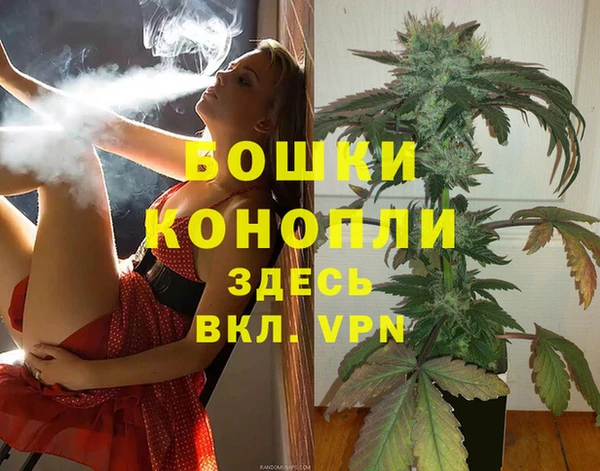 стафф Белокуриха