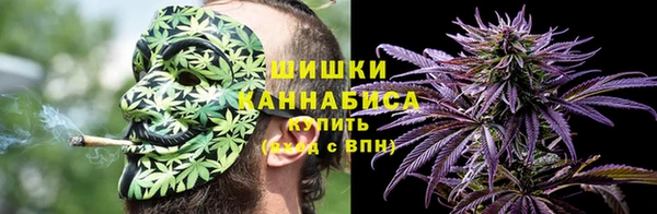 прущие грибы Белоозёрский